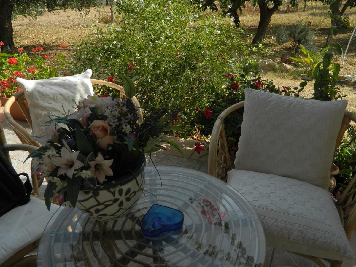 Uliveto House Bed & Breakfast Castellammare del Golfo Exterior foto