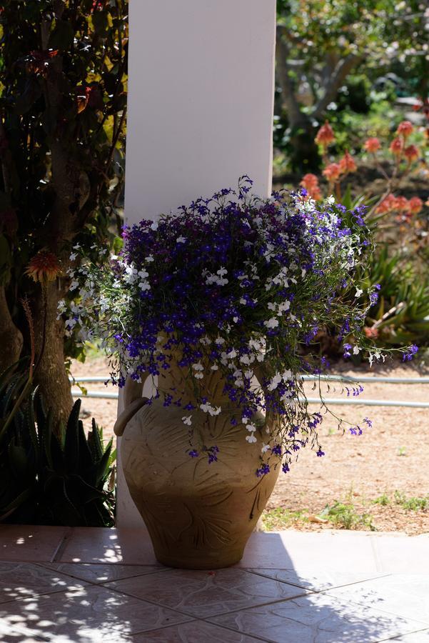 Uliveto House Bed & Breakfast Castellammare del Golfo Exterior foto