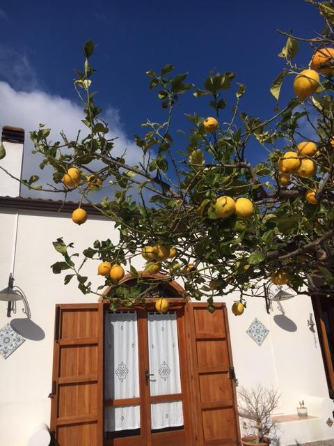 Uliveto House Bed & Breakfast Castellammare del Golfo Exterior foto