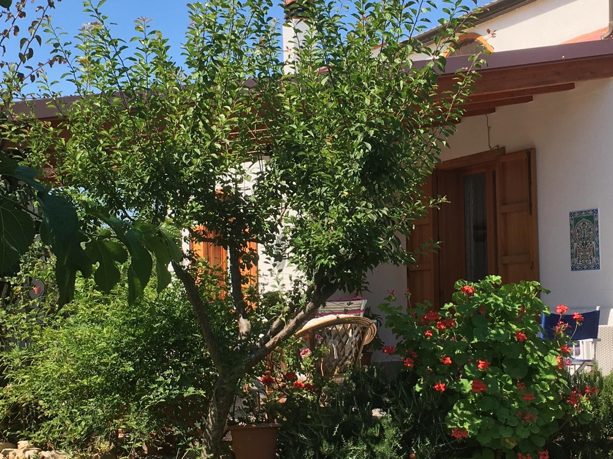 Uliveto House Bed & Breakfast Castellammare del Golfo Exterior foto